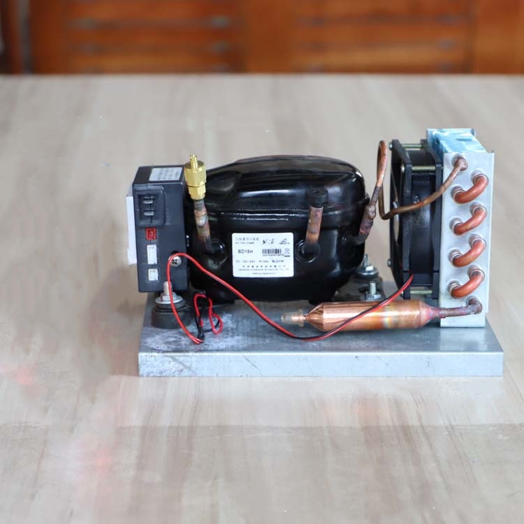 BD15HC Mini Condensing Unit of - đánh giá và giá Air Compressor Mini